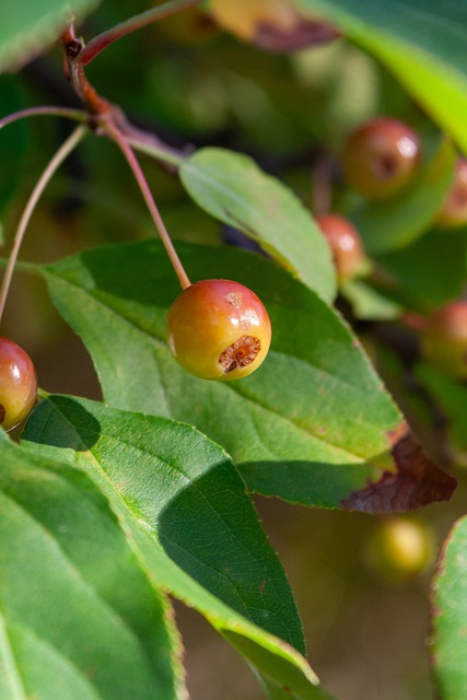 尽管此消息 尽管此消息