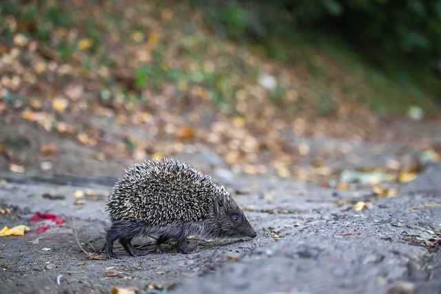 铜墙铁壁 铜墙铁壁