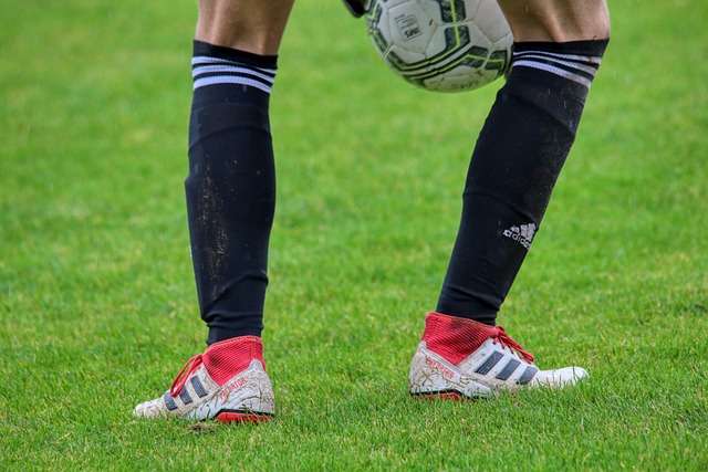 任和支持 任和支持