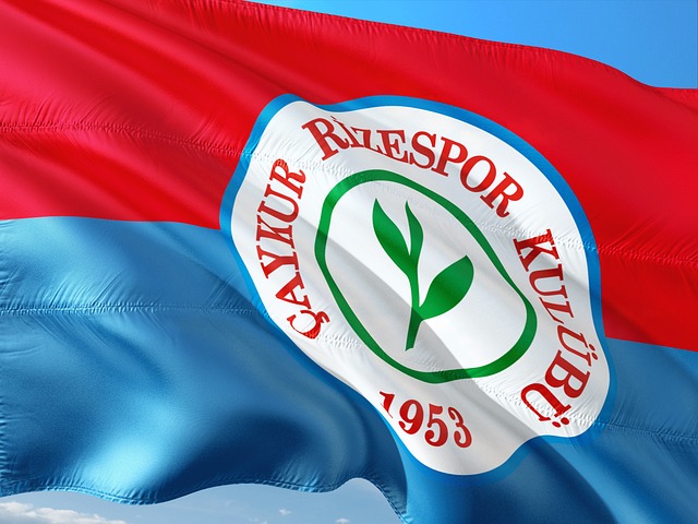 稳定前锋的 稳定前锋的