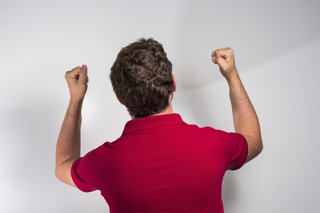 的阵容调整 的阵容调整