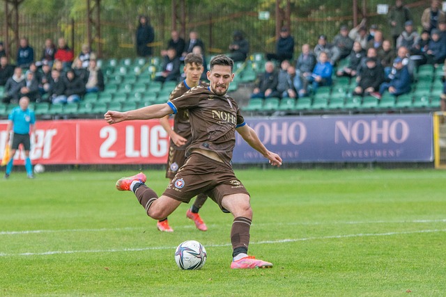 的核心优势 的核心优势