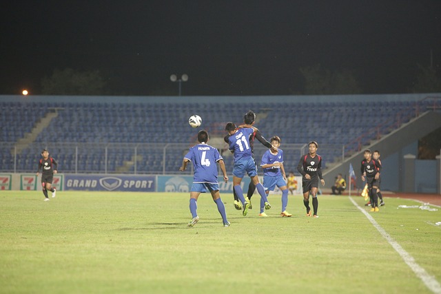 家之间的文 家之间的文