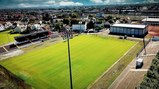 分析阿尔瓦 分析阿尔瓦