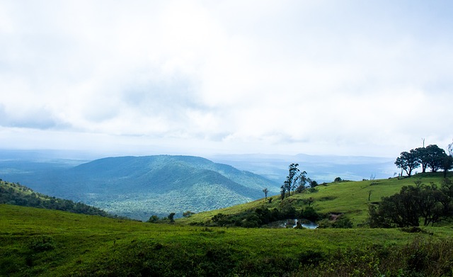 从而影响整 从而影响整