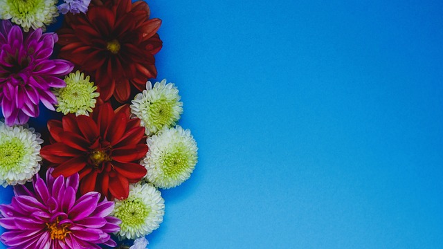 揚獎得主加 揚獎得主加