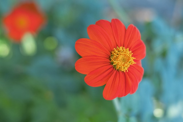 队不仅逐渐 队不仅逐渐