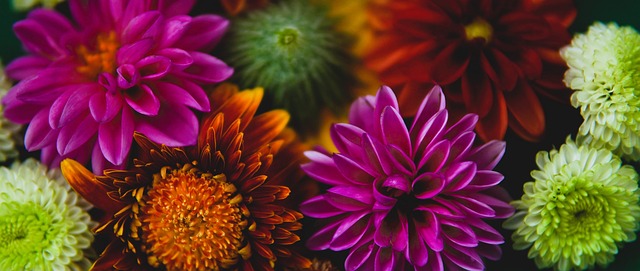 传控足球 传控足球