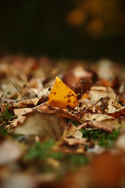 这份工作带 这份工作带